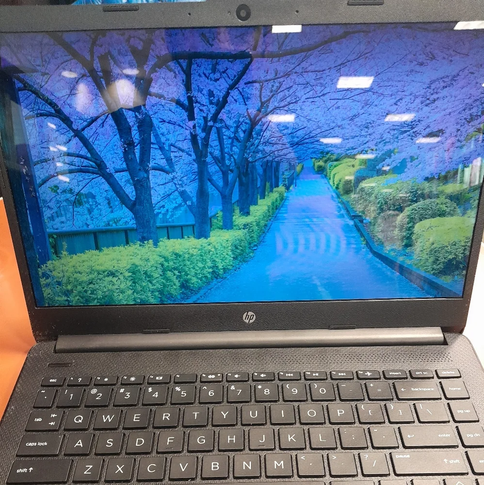 HP Essential 14
